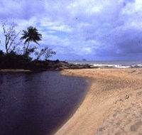 Russell River National Park - Hotel NSW