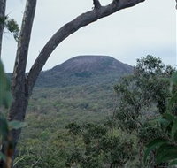 Mount Fox - Hotel NSW