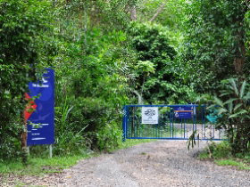 The Bat Hospital Visitor Centre - Hotel NSW 0