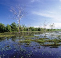 Tyto Wetlands - Hotel NSW