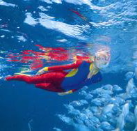 Outer Rocks Dive Site - Hotel NSW