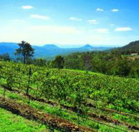 Preston Peak Wines - Hotel NSW