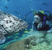 Pelorus Island - Hotel NSW