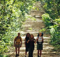 Wet Tropics Great Walk - Hotel NSW