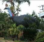 The Big Cassowary - Hotel NSW