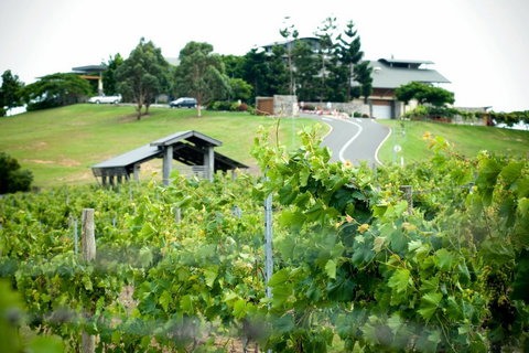 Sirromet Winery - Hotel NSW 10