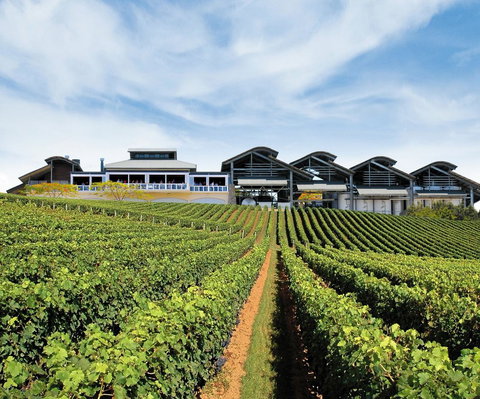 Sirromet Winery - Hotel NSW 12
