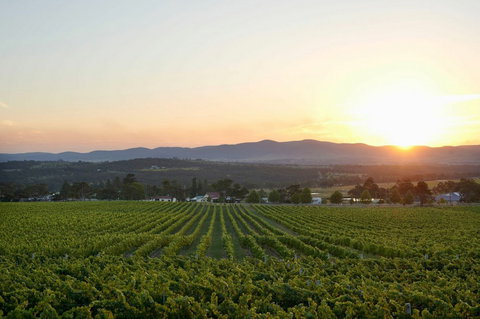 Sirromet Winery - Hotel NSW 13