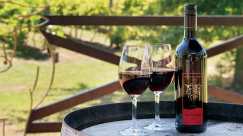 Wild Cattle Creek Estate Winery Restaurant - Hotel NSW 4
