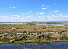 Point Cook Coastal Park - Hotel NSW 0
