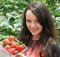 Yarra Valley Gateway Estate - Hotel NSW