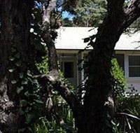 Melaleuca Gallery - Hotel NSW