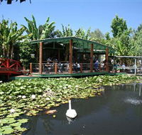Blue Lotus Water Garden - Hotel NSW