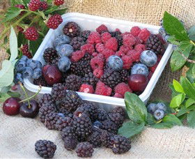 Bright Berry Farms - Hotel NSW 0