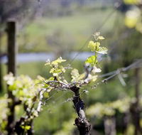 Norton Estate Wines - Hotel NSW