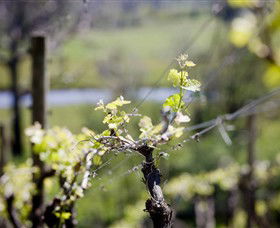 Norton Estate Wines - Hotel NSW 0