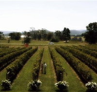 Rochford Wines - Hotel NSW