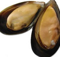 Sea Bounty - Hotel NSW