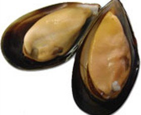 Sea Bounty - Hotel NSW 0