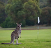 Anglesea Golf Club - Hotel NSW