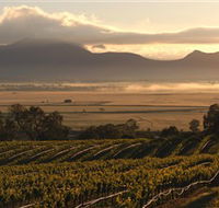 Montara Wines - Hotel NSW
