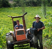 Kellybrook Winery  Kelly Brothers Cider - Hotel NSW