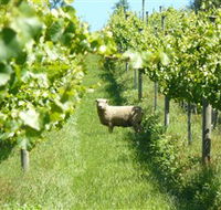 Passing Clouds - Hotel NSW