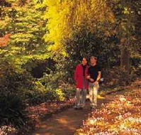 George Tindale Memorial Gardens - Hotel NSW
