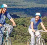 Lysterfield Park - Hotel NSW