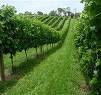 The Cups Estate - Hotel NSW