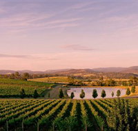 Oakridge Wines - Hotel NSW