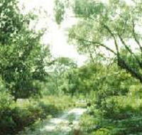 Holey Plains State Park - Hotel NSW