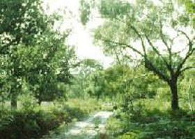 Holey Plains State Park - Hotel NSW 0