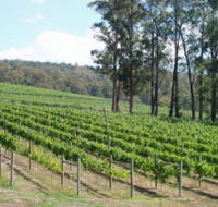 Piedmont Vineyard - Hotel NSW