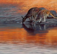 Steve Morvell Wildlife Art - Hotel NSW