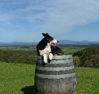 Windy Ridge Vineyard and Winery - Hotel NSW