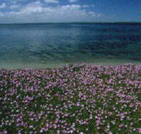 The Lakes National Park - Hotel NSW