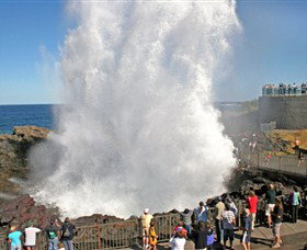Kiama Blowhole - Hotel NSW 0