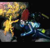 Solitary Islands Marine Park - Hotel NSW