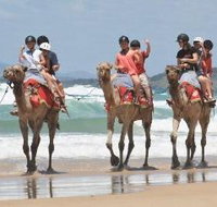 Camel Rides with Coffs Coast Camels - Hotel NSW