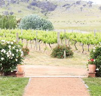 Brindabella Hills Winery - Hotel NSW
