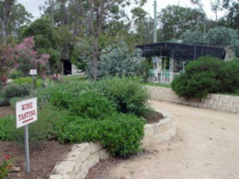 Holland Wines - Hotel NSW 4