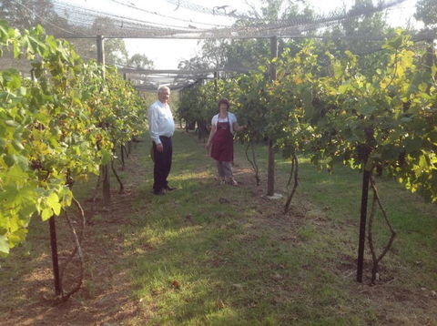 Holland Wines - Hotel NSW 8