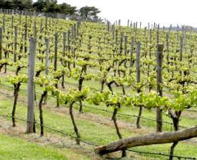 Tallwood NSW Hotel NSW