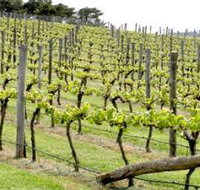 Bantry Grove - Hotel NSW