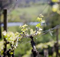 Mount Cole WineWorks - Hotel NSW