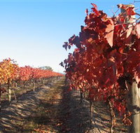 Kooyonga Creek Wines - Hotel NSW