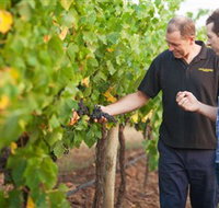 Fratin Brothers Vineyard - Hotel NSW