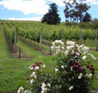 Pembroke Estate Vineyard - Hotel NSW