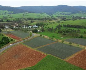 Schmidts Strawberry Winery - Hotel NSW 1